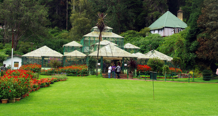 OOTY Botanical Garden