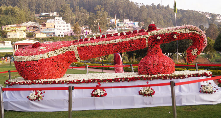 OOTY Rose Garden