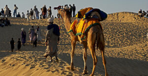 Rajasthan Feature Image (Courtesy Rajasthan Tourism)