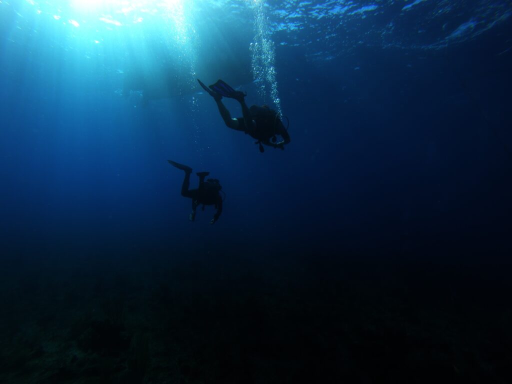 Grand Cayman: Snorkeling Haven