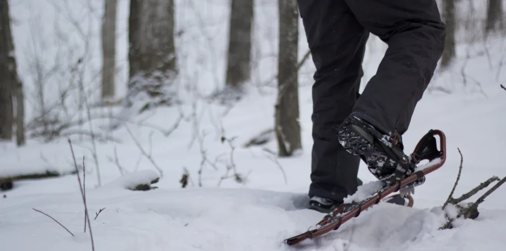Snowshoeing