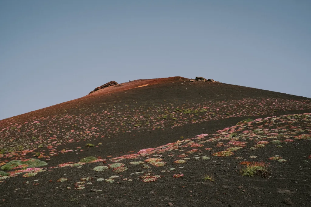 Getting to Know Mount Etna