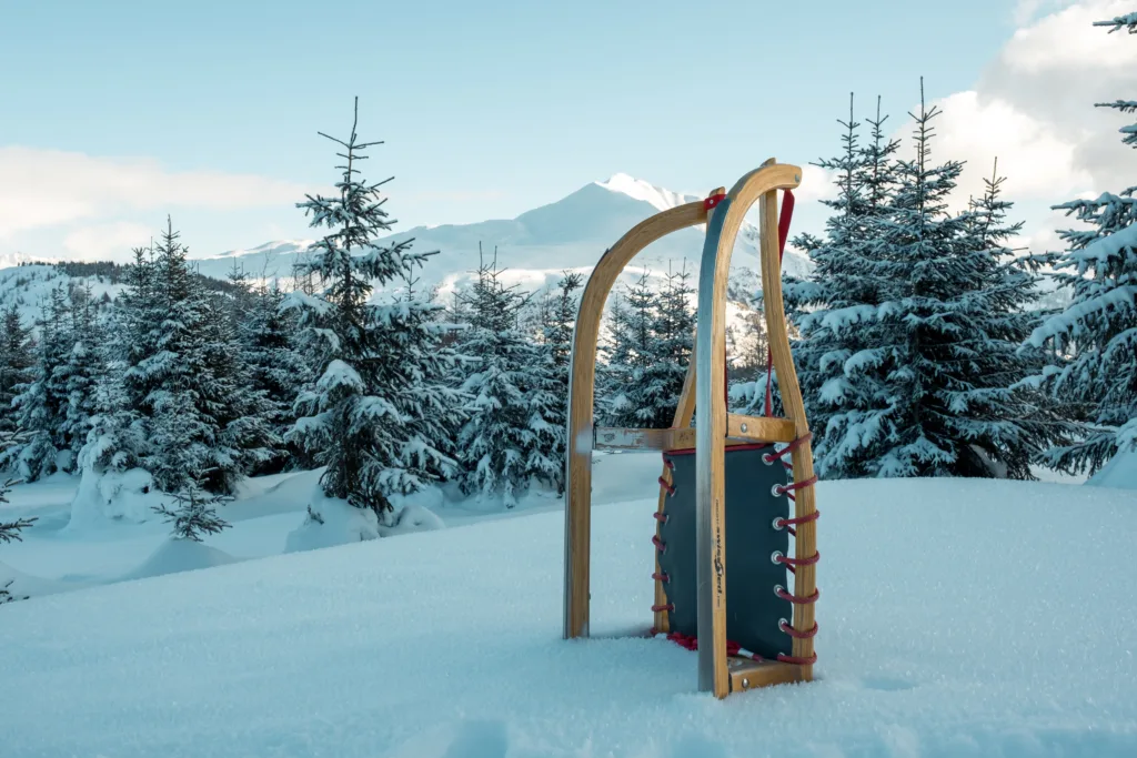 Bobsledding winter sports