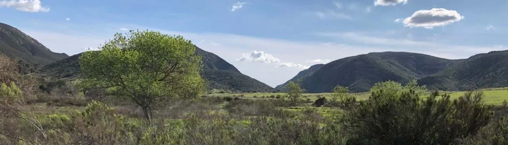 Mission Trails Regional Park Hiking Trails San Diego (Image Source: Mission Trails Regional Park)