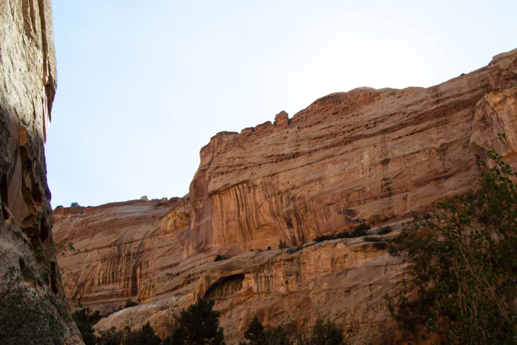 Torrey Pines State Natural Reserve Hiking Trails San Diego (Image Source: Photo by Backroad Packers on Unsplash)
