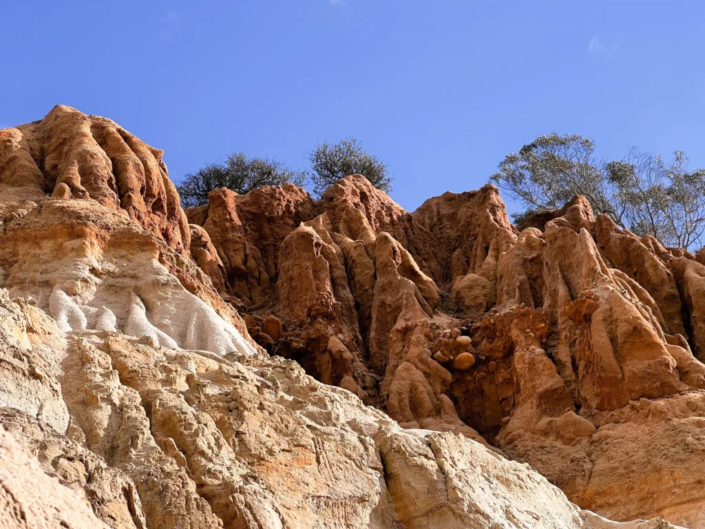 Annie's Canyon Trail Hiking Trails San Diego (Photo by Bailey L on Unsplash)
