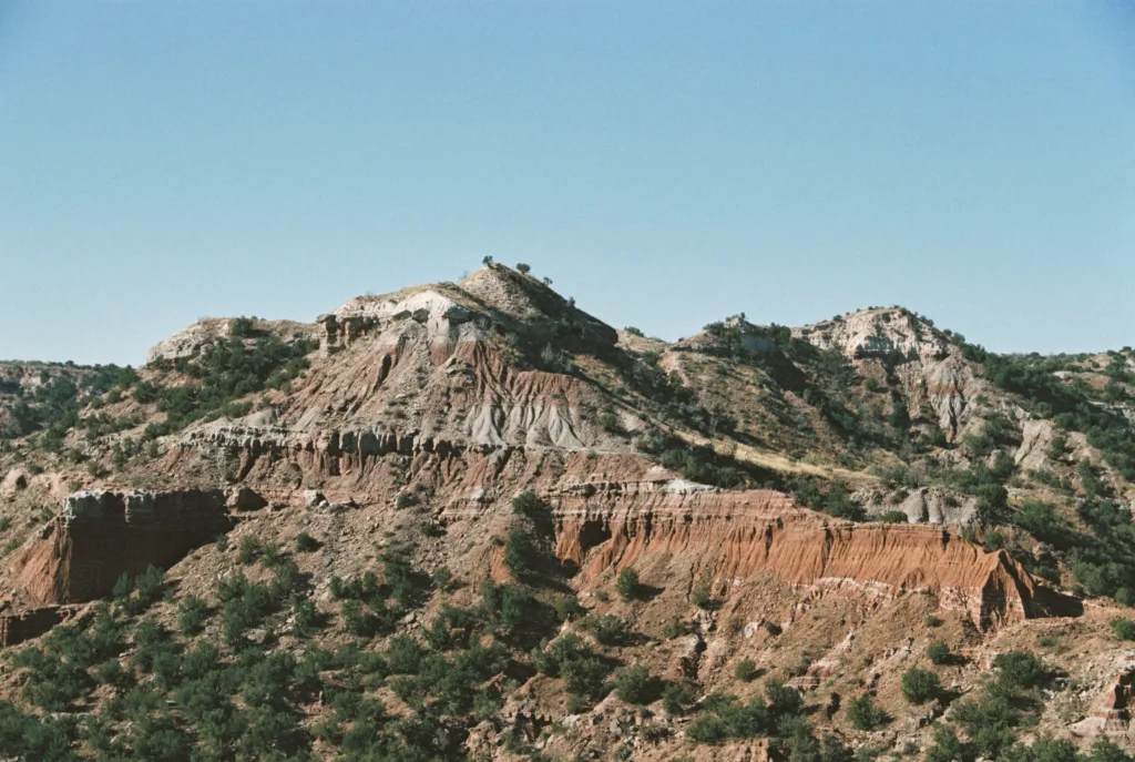 Los Peñasquitos Canyon Trail (Photo by Samuel Bauman on Unsplash)