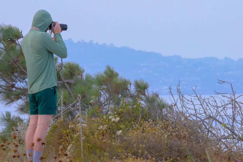 Benefits of Hiking in San Diego Hiking Trails San Diego
