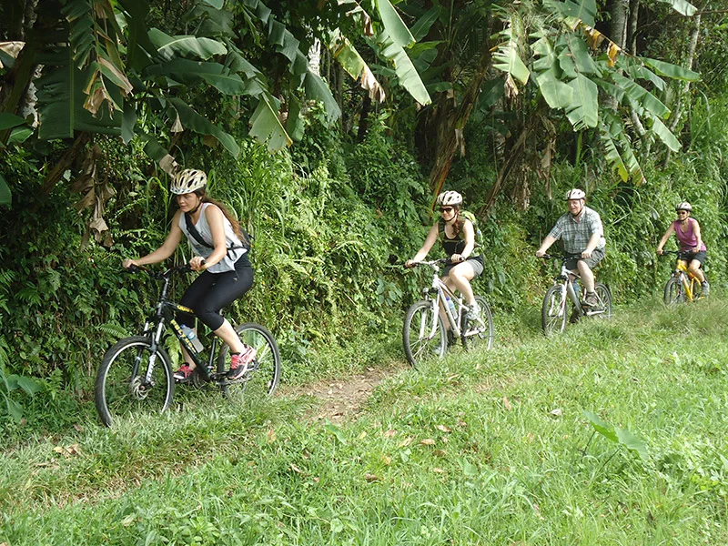 Things to do in Ubud Cycling Tour