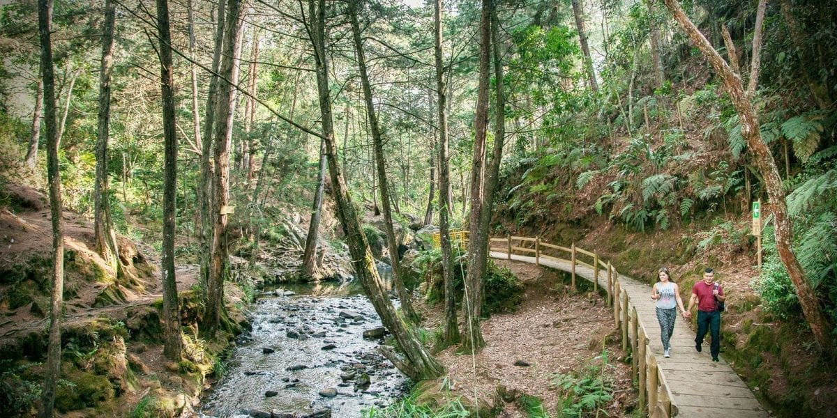 Parque Arvi