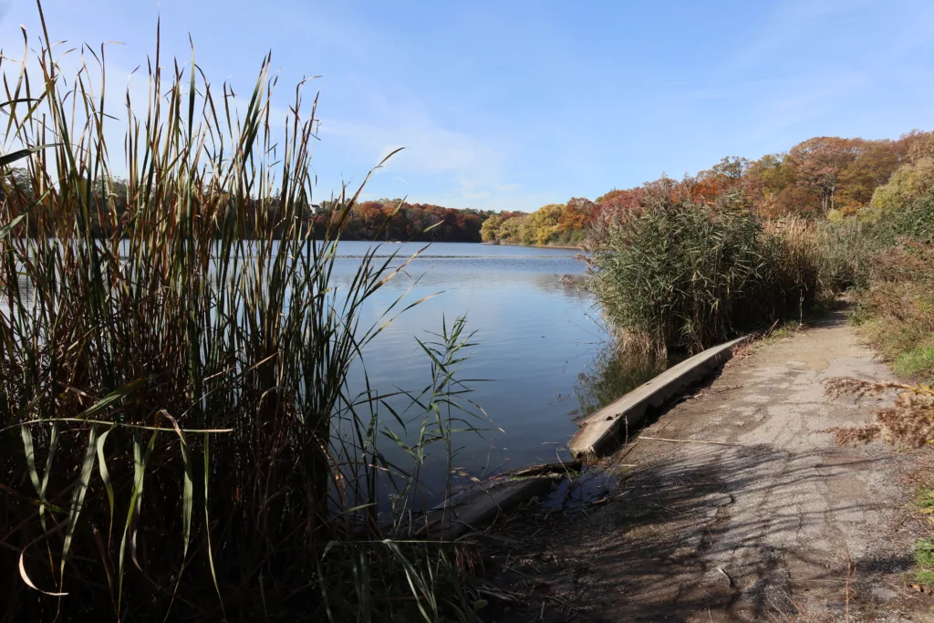 Things to do in Toronto High Park 