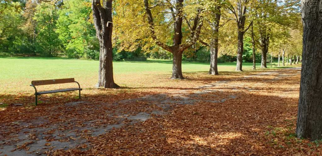 Prater Park