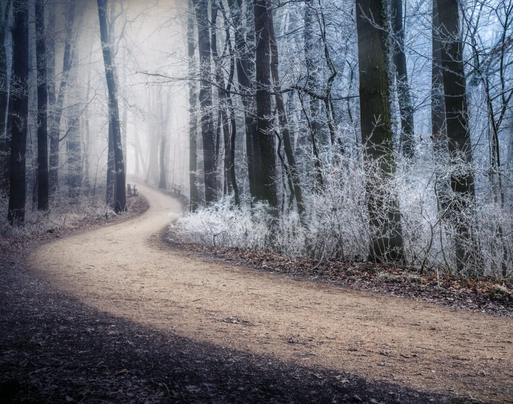 Wienerwald