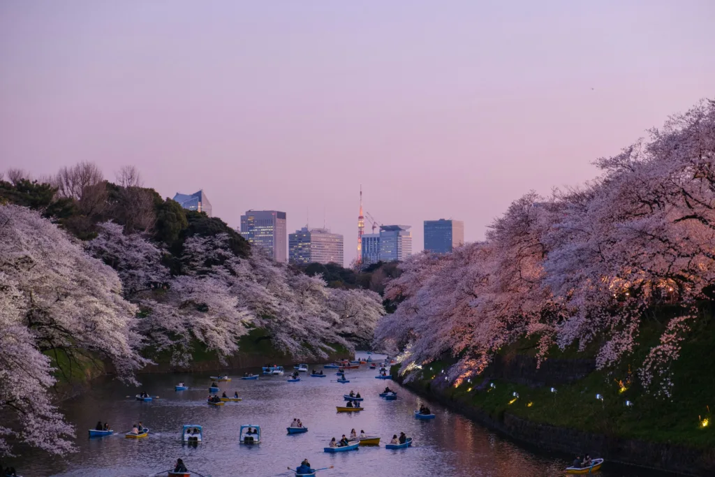 Things to do in Tokyo