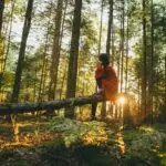 Sustainable Tourism: Focus on A Path to a Greener Future