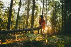 Sustainable Tourism