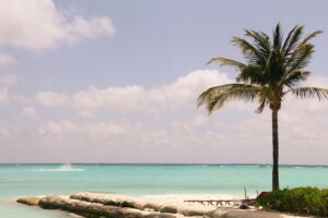 Things to do in Cancun