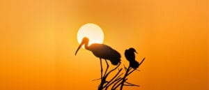 Places to Visit in Bharatpur